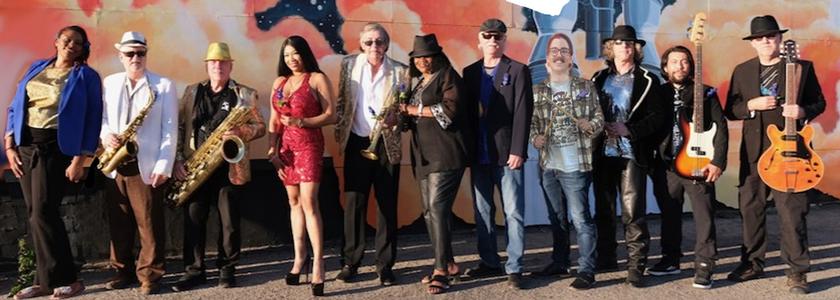 An image of the Soul Cats band